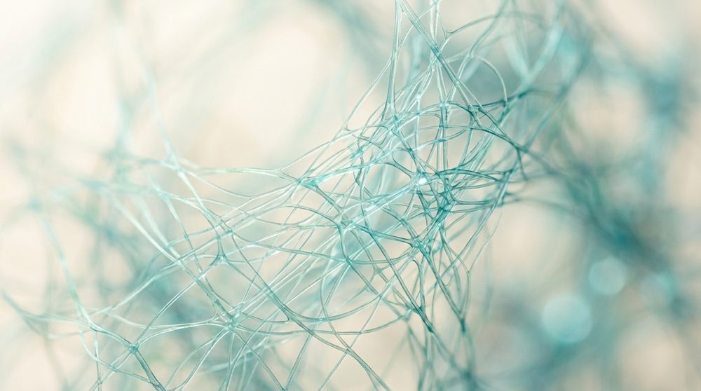 Abstract macro image of a fibrous collagen-like lattice